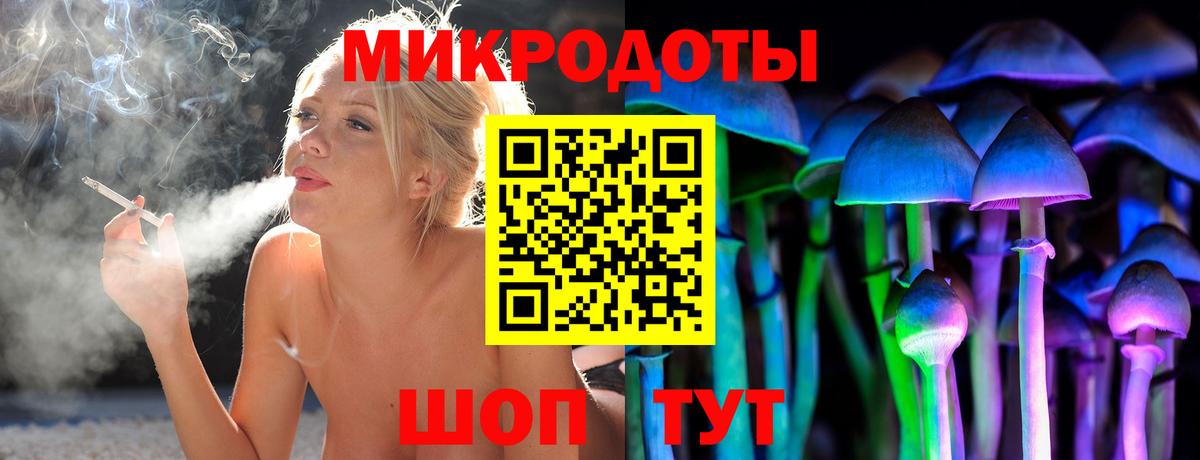Карабулак  Псилоцибиновые грибы мицелий  Вход с VPN 